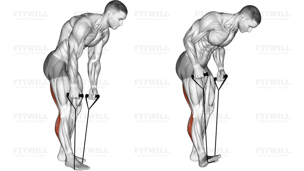Standing Hamstring and Calf Stretch with Strap