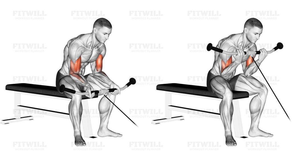 Cable Seated Curl