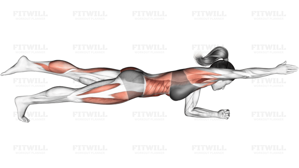 Front Plank with Arm and Leg Lift