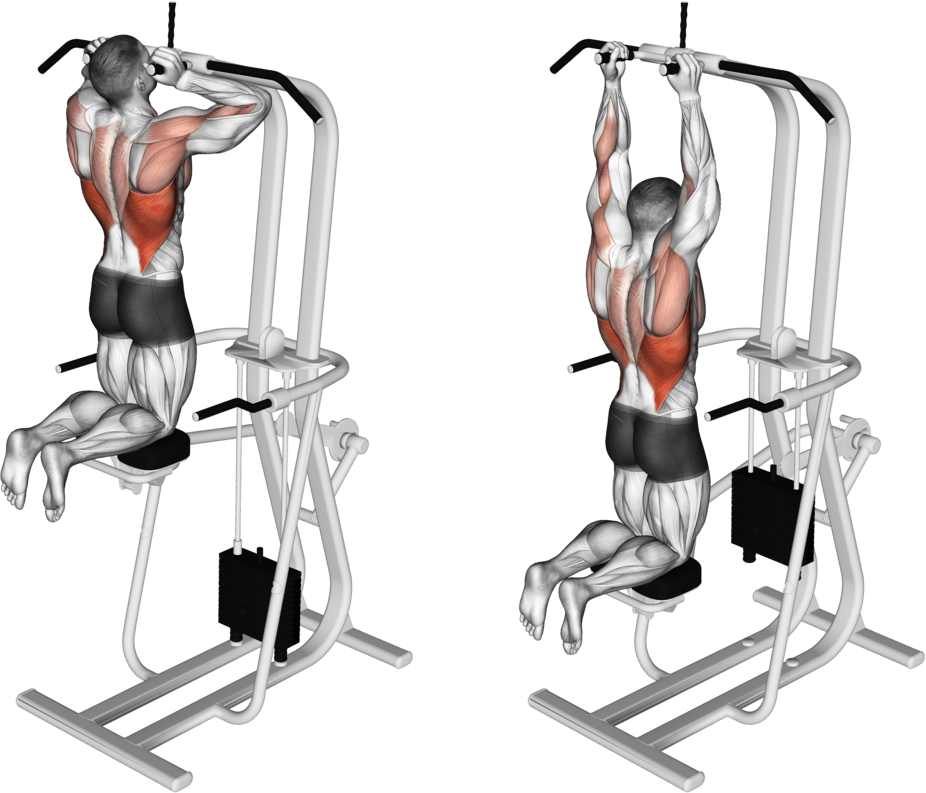 Assisted Parallel Close Grip Pull-up