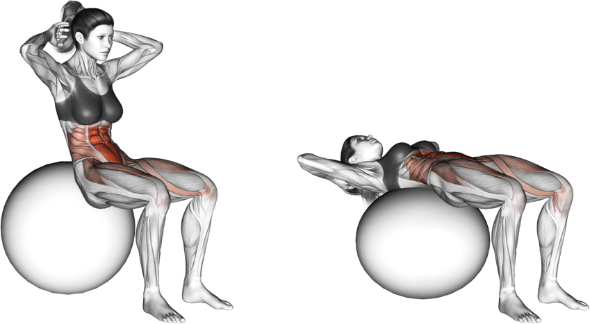 Ball Sit-up (on stability ball)
