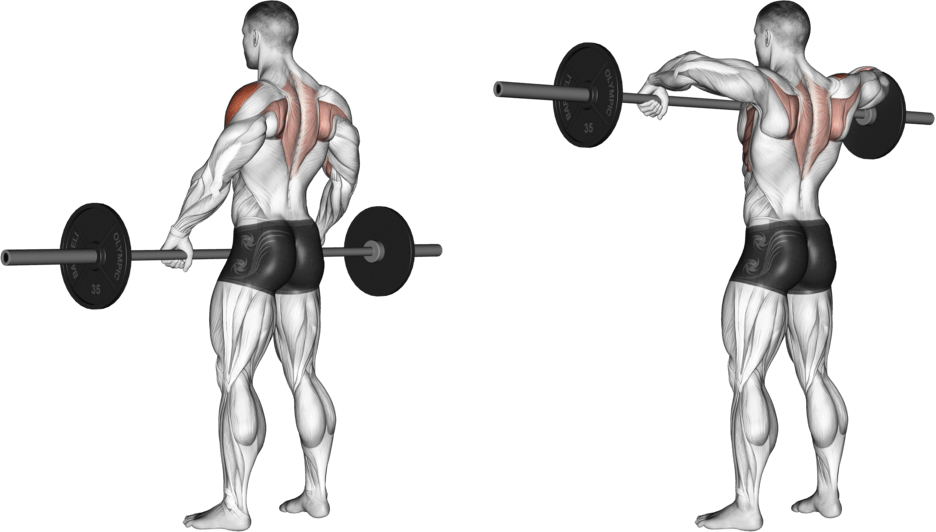 Barbell Wide-grip Upright Row