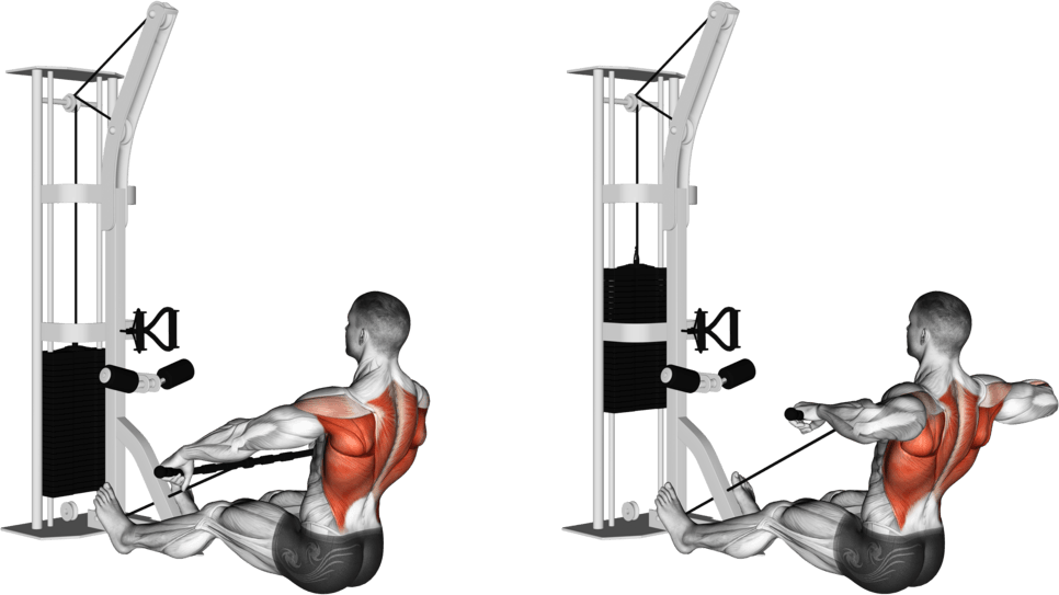 Cable Floor Seated Wide-grip Row