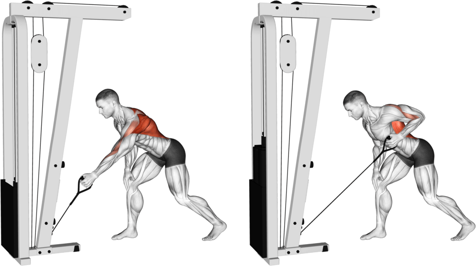 Single Arm Cable Rows