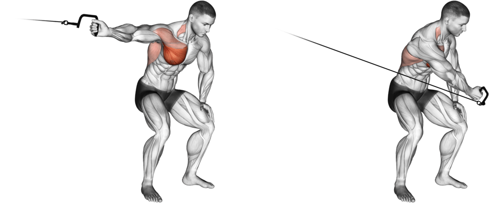 Cable One Arm Lateral Bent-over (L)