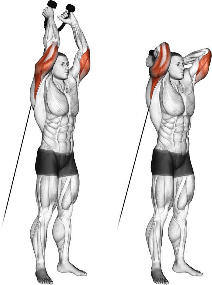 Cable Overhead Triceps Extension (rope attachment)