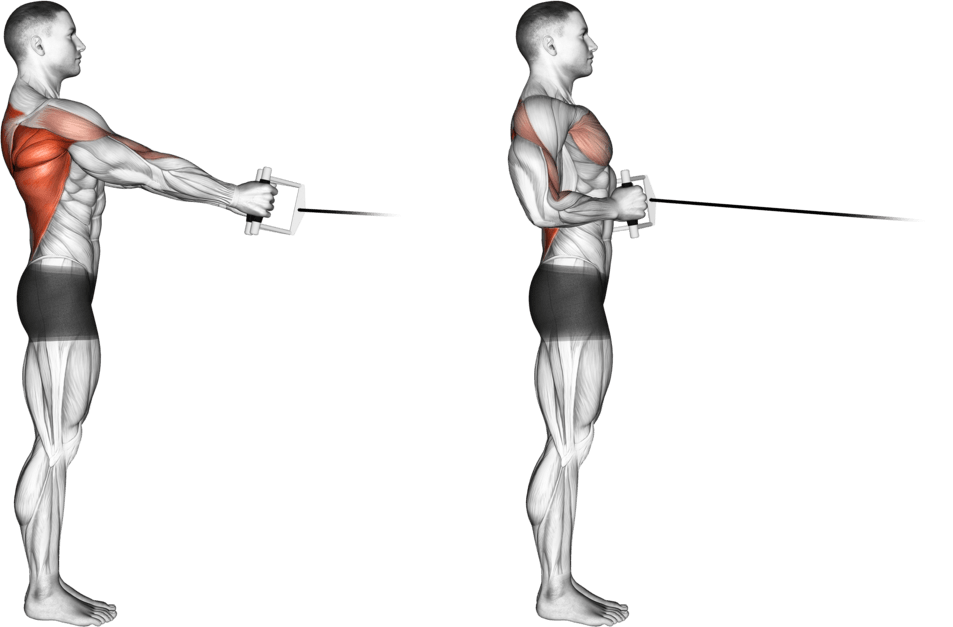 Cable Standing Row (V-bar)