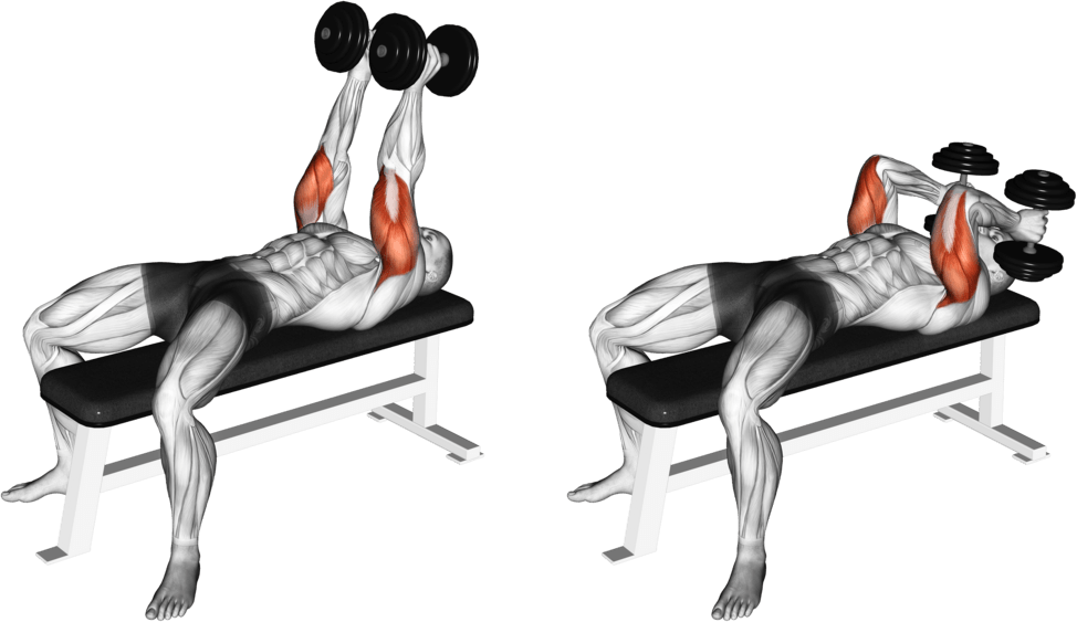 Dumbbell Lying Triceps Extension