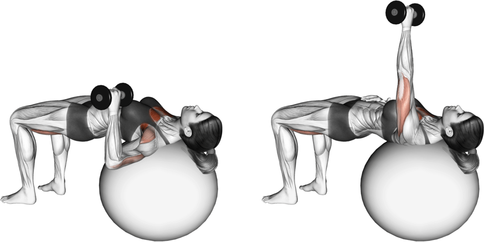 Dumbbell One Arm Press (on stability ball)