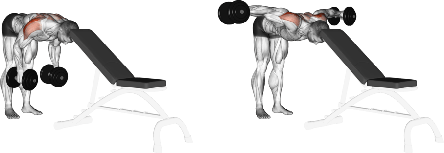 Dumbbell Rear Lateral Raise (support head)