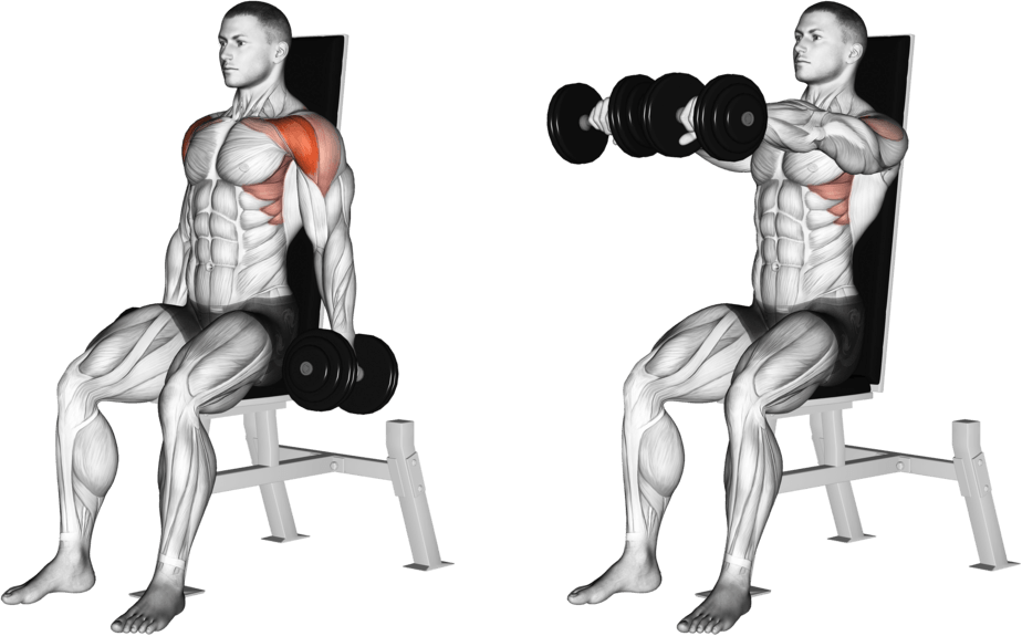 Dumbbell Seated Front Raise