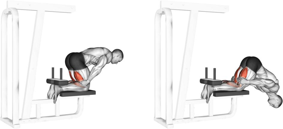 Inverse Leg Curl (bench support)