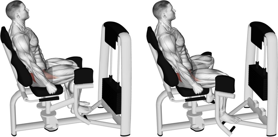 Lever Seated Hip Abduction