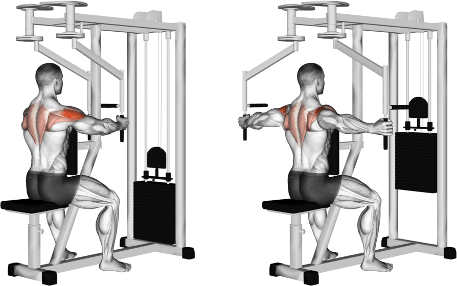 Lever Seated Reverse Fly (parallel grip)