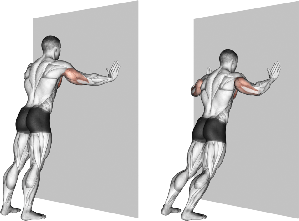 Wall Push-up (Wide Grip)
