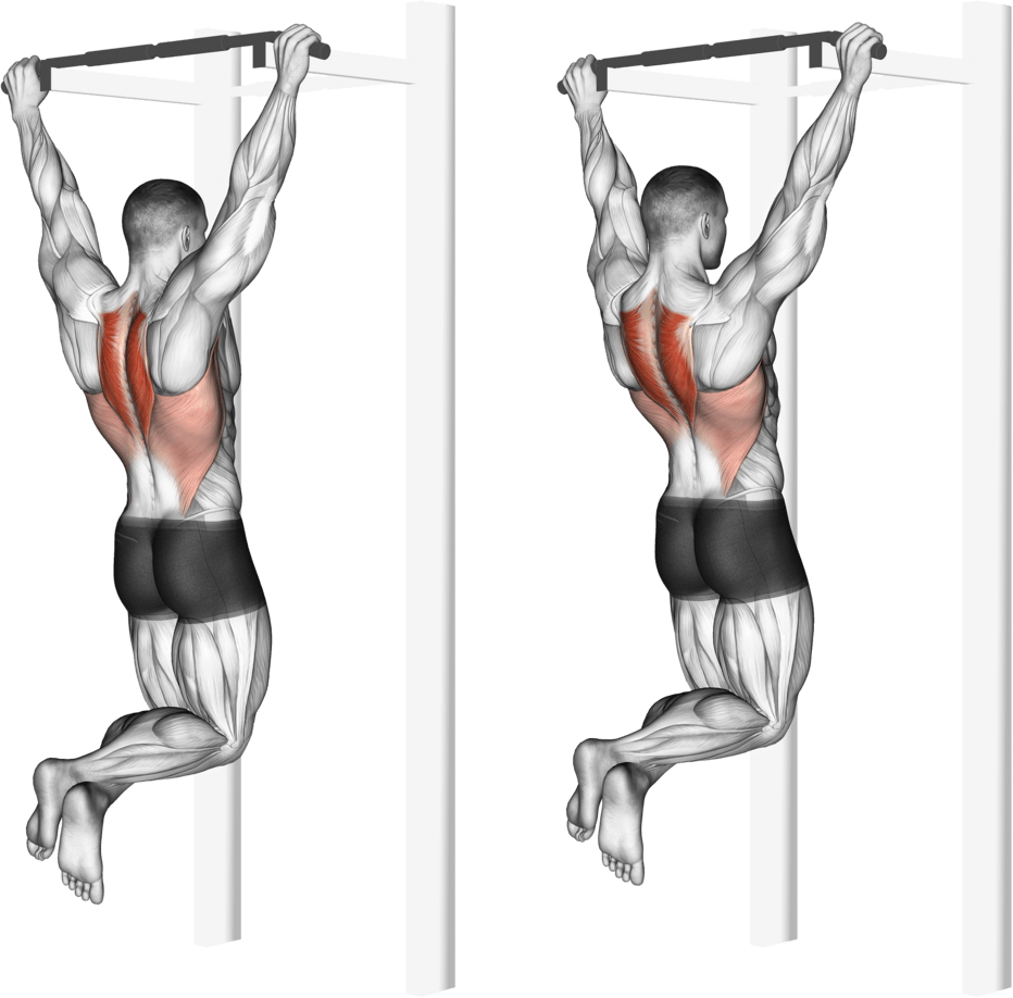 Scapular Pull-Up