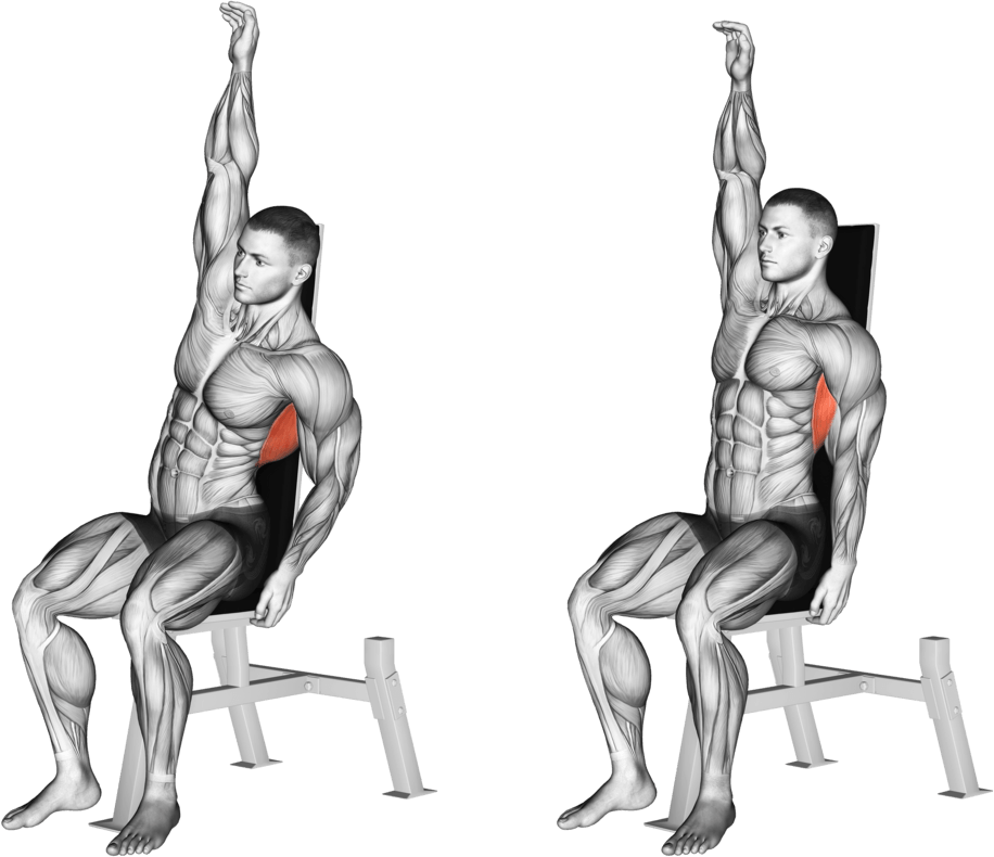 Seated Lower Back Stretch