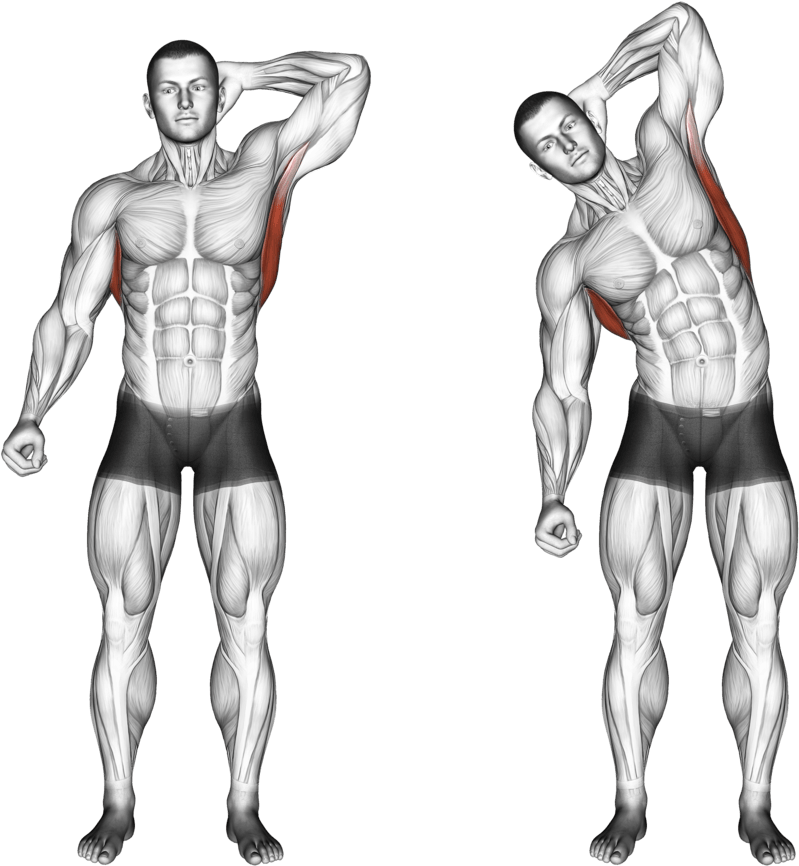 Standing Lateral Stretch