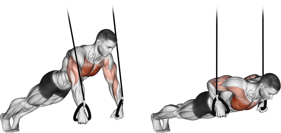 Suspended Push-Up