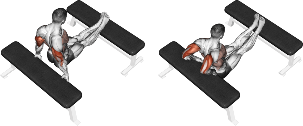 Triceps Dip (bench leg)