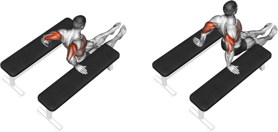Triceps Dip (between benches)