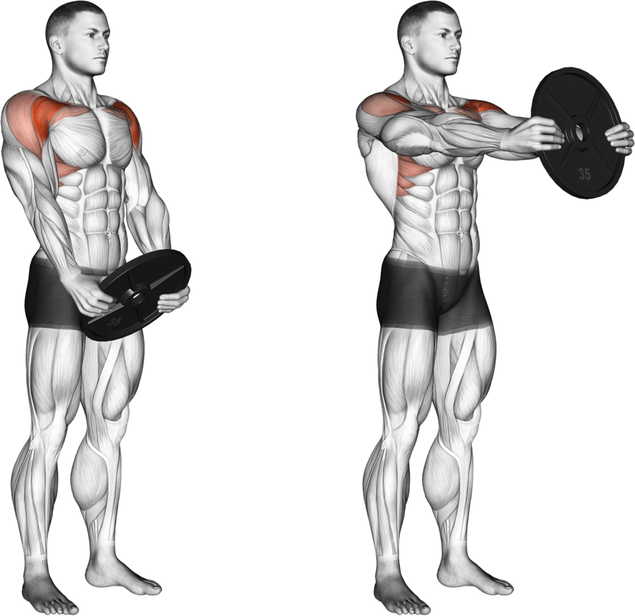 Weighted Front Raise
