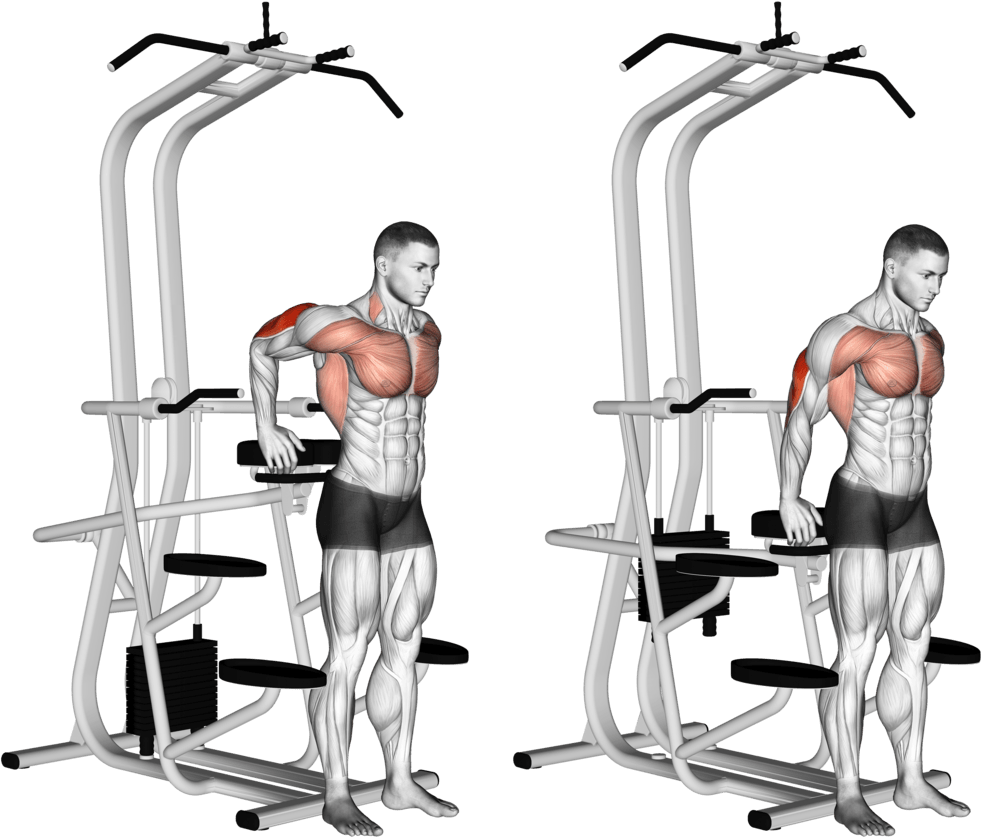 Assisted Standing Triceps Dip