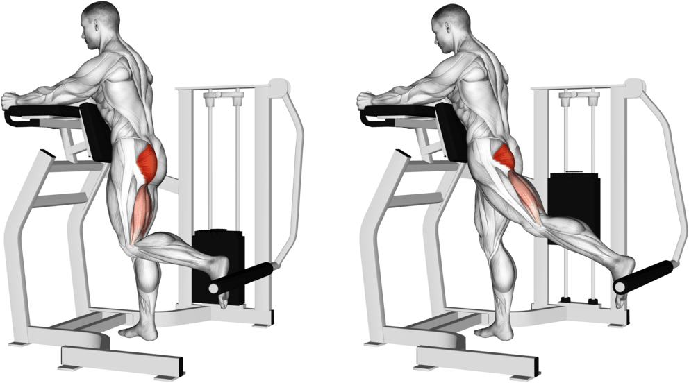 Lever Standing Hip Extension
