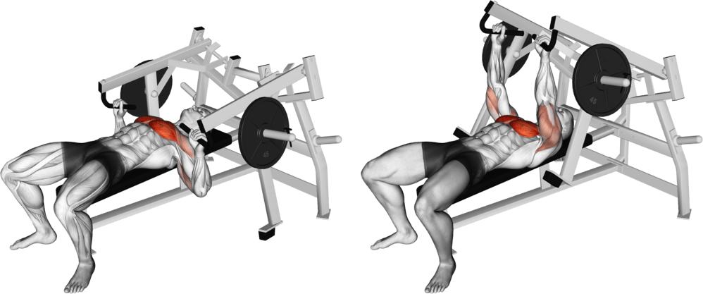 Lever Lying Chest Press (plate loaded)