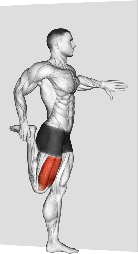 Standing Quadriceps Stretch