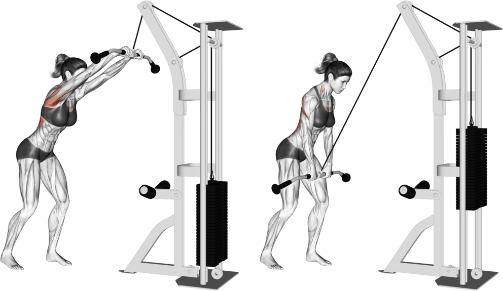 Cable straight arm pulldown (version 2)