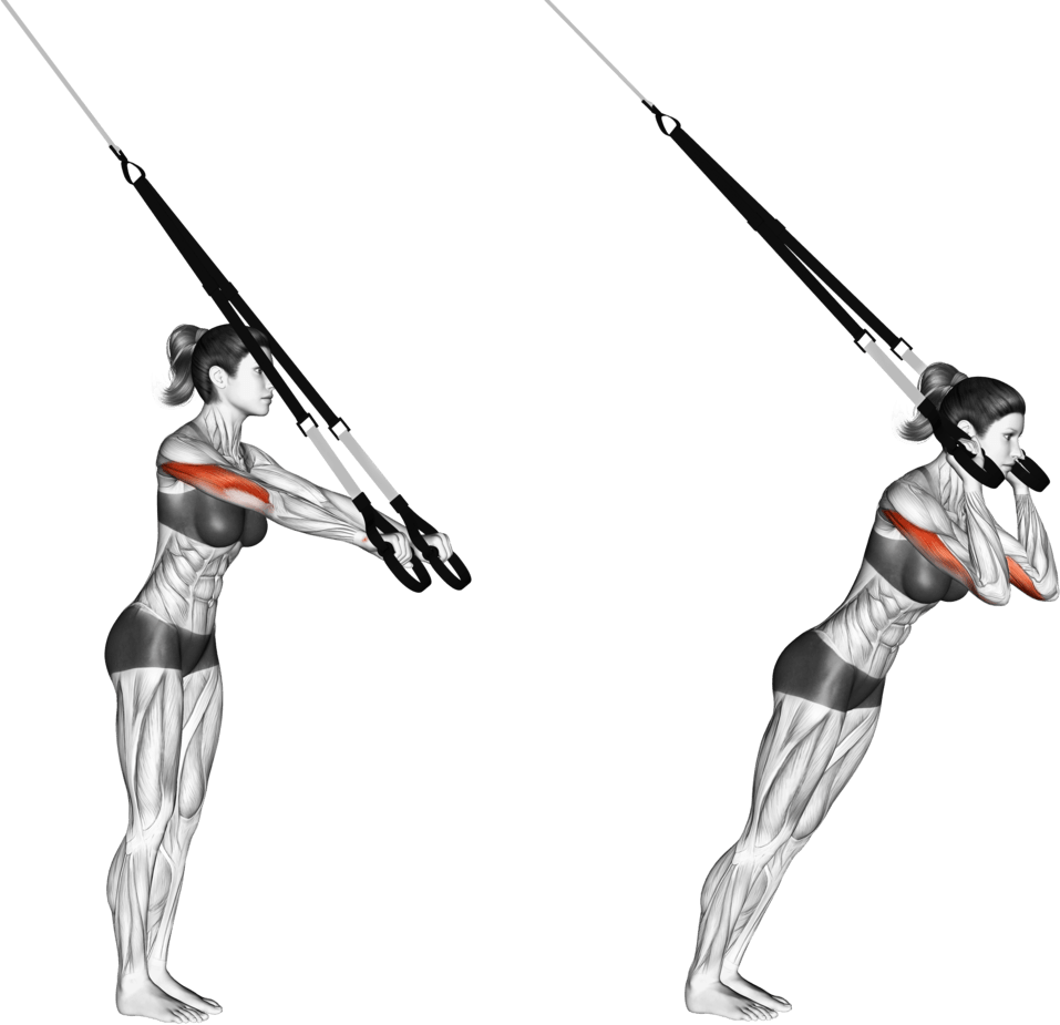 Suspension Triceps Extension