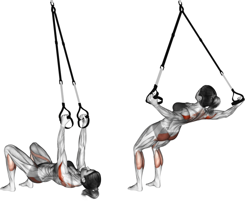 Suspension Reverse Fly Wake-up