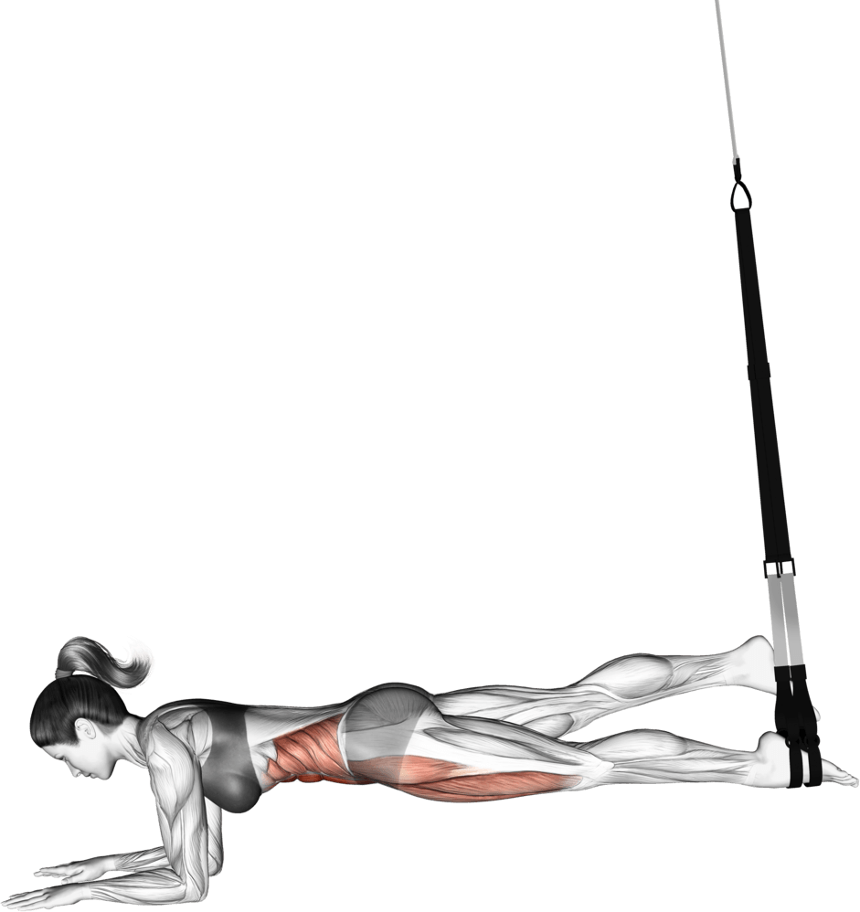 Suspension Single Leg Plank