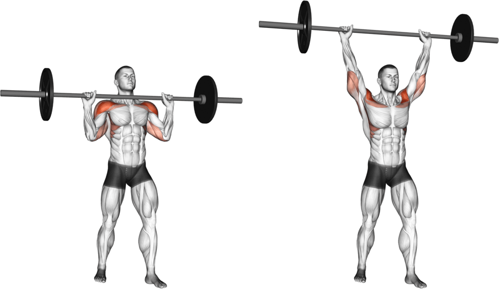 Barbell Standing Military Press (without rack)