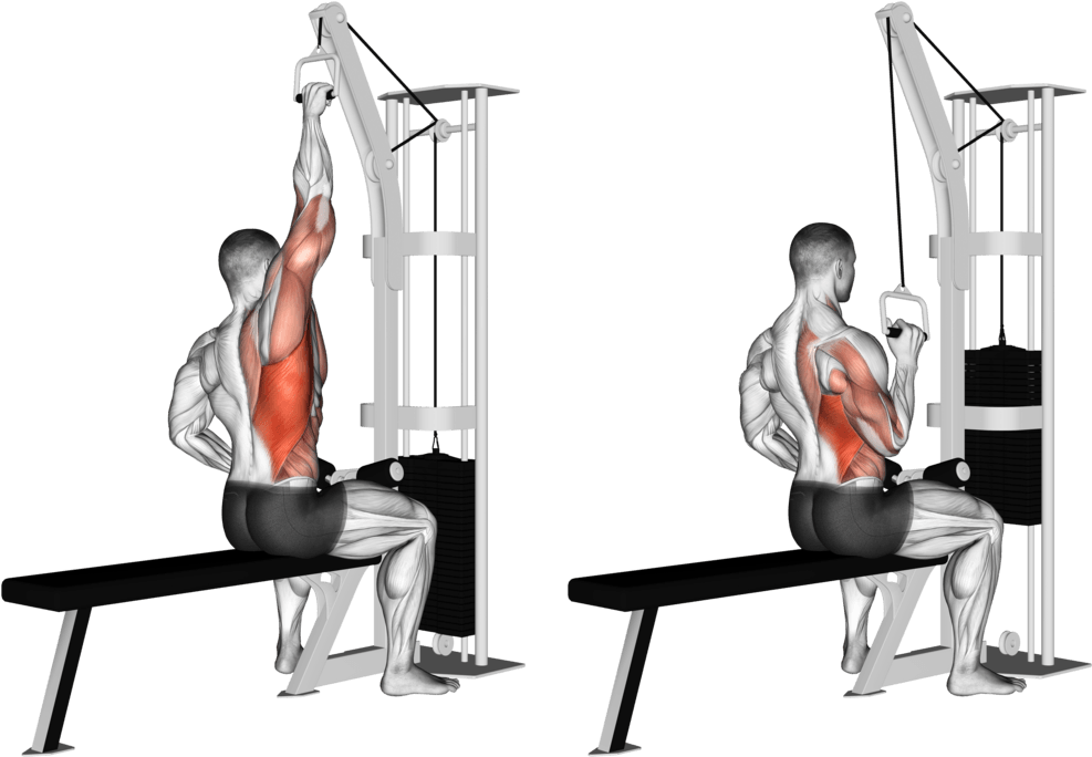 Cable One Arm Lat Pulldown (L)
