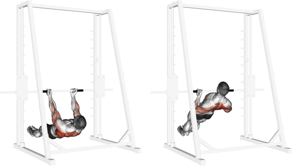 Underhand-Grip Inverted Back Row