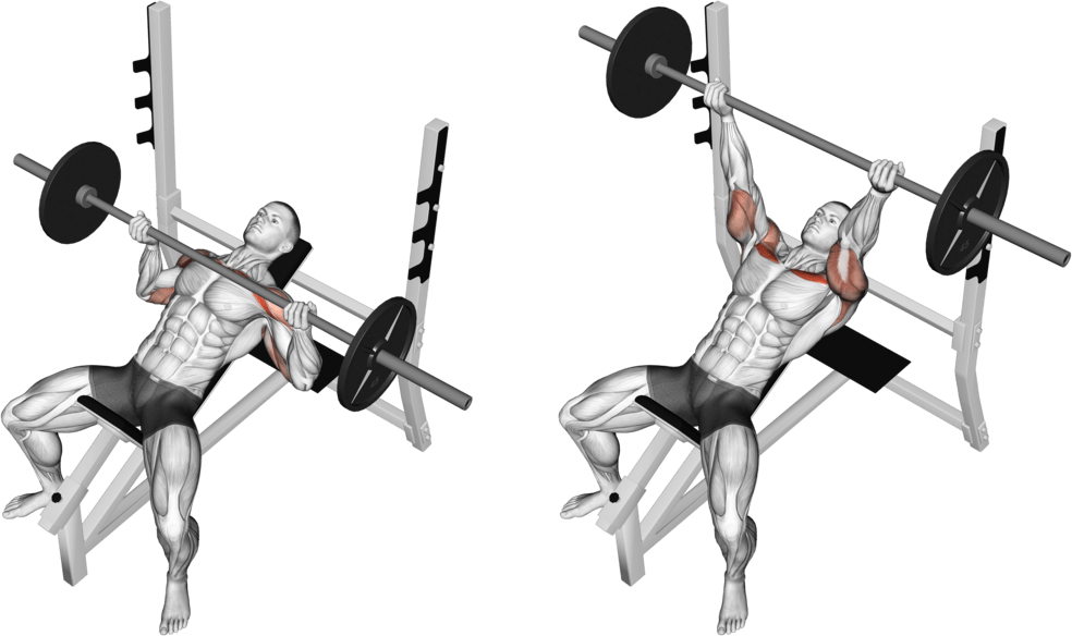 Barbell Reverse Grip Incline Bench Press