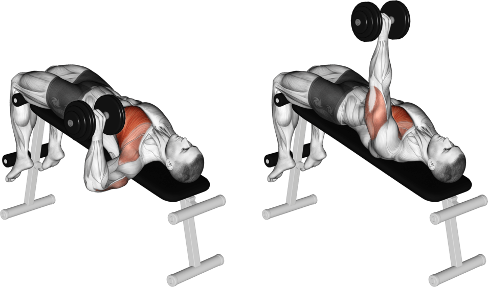Dumbbell One Arm Decline Chest Press