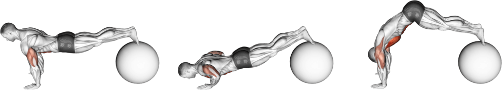 Exercise Ball Pike Push up
