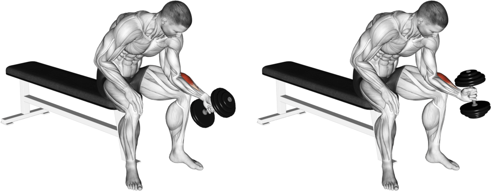 Dumbbell One Arm Seated Neutral Wrist Curl