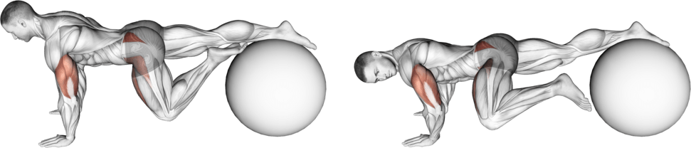 Exercise Ball One Leg Prone Lower Body Rotation