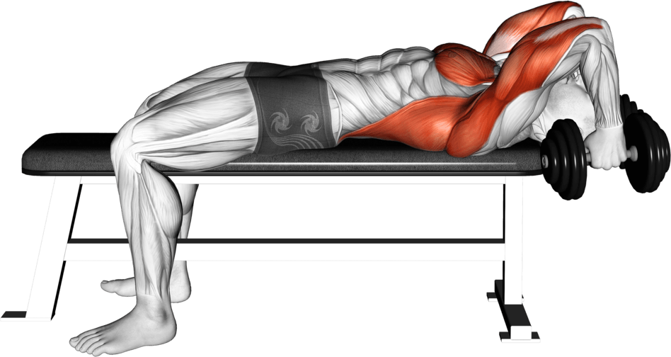Dumbbell Bent Arm Pullover Hold Isometric