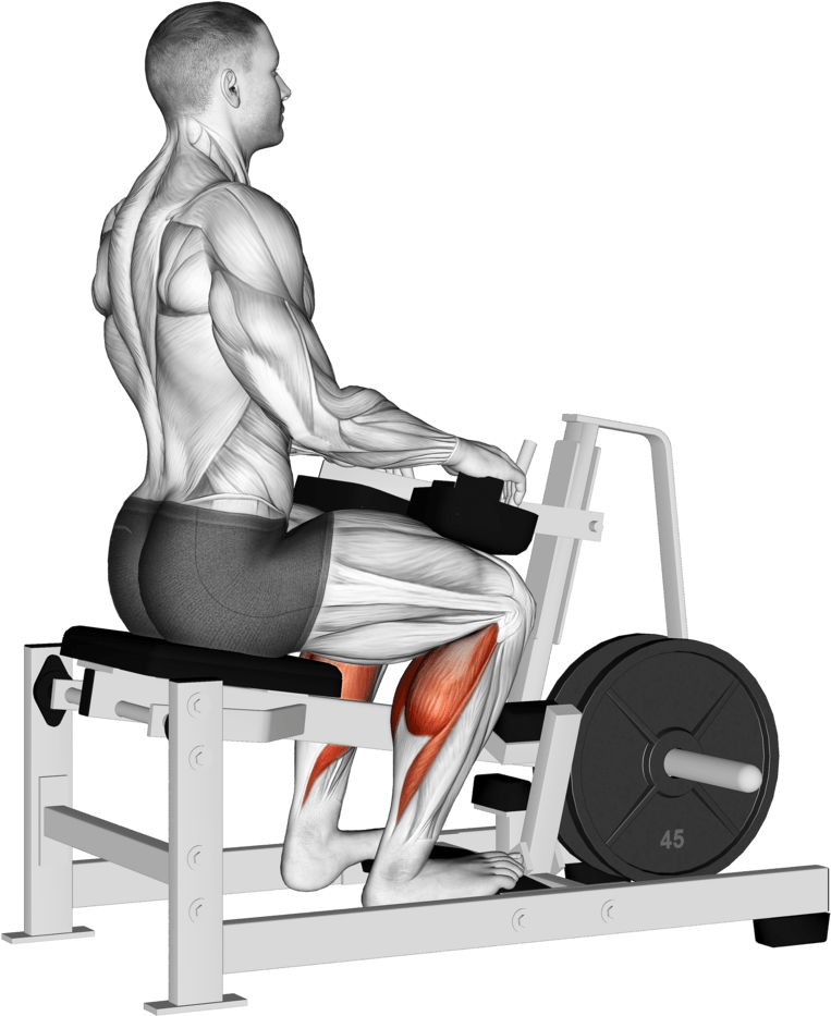Lever Calf Stretch (plate loaded) Isometric
