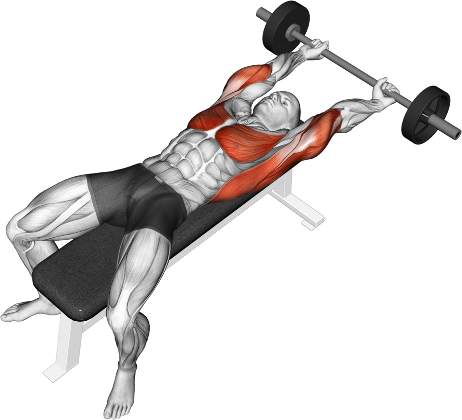 Barbell Pullover Hold Isometric