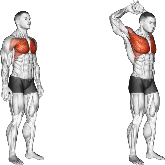 Above Head Chest Stretch