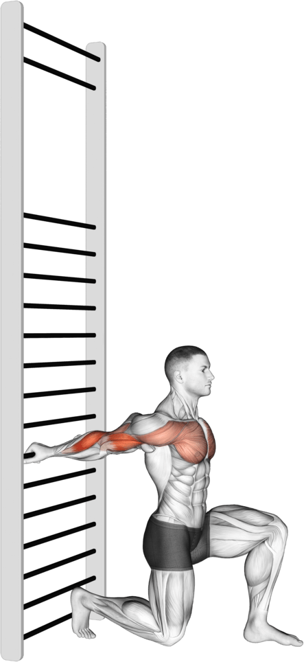 Arms Stretch On A Support