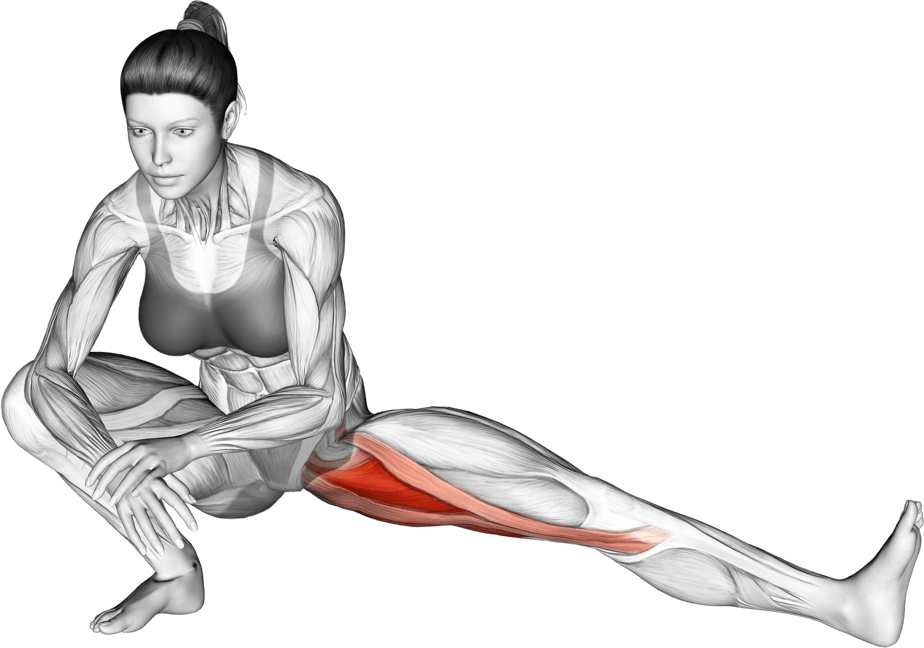 Abduction Of One Leg Flexion Stretch