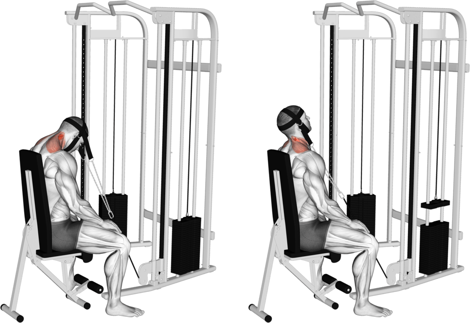 Cable Seated Neck Extension (with head harness)