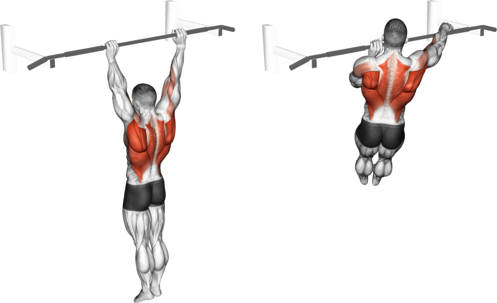Archer Pull-up